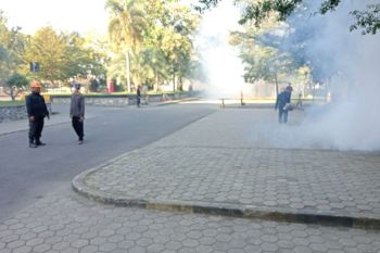 Hujan mulai reda, Dinkes Mataram justru ingatkan waspada DBD