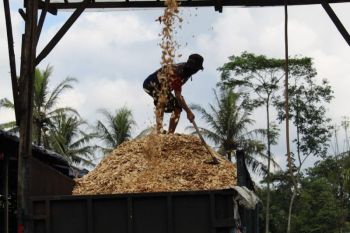 Percepatan transisi energi dengan bioteknologi dan kearifan lokal