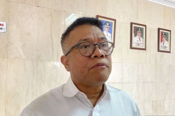 Hang Nadim Batam perkirakan 14 ribu penumpang padati bandara  pada  puncak mudik Natal