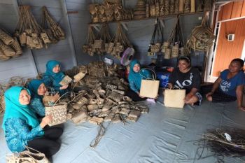 Ketua PKK Barut dukung pengembangan anyaman rotan di Teweh Timur