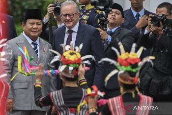 Prabowo bertemu Albanese, perkuat kerja sama pendidikan hingga ekonomi