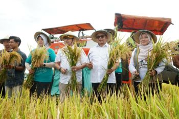 Pemkab Pati membuktikan keberhasilan program panen padi 10 ton/hektare