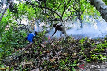 Pemkab Parigi Moutong maksimalkan penggunaan alat manual padamkan karhutla