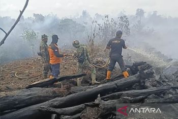 Karhutla seluas 58,7 Ha di Aceh Barat sudah padam 100 persen