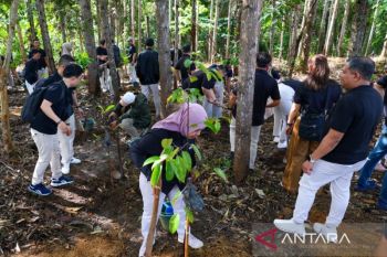 Pemulihan ekosistem hutan di IKN dilakukan secara ekologis