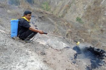 Pemkab Parigi Moutong optimis bisa padamkan api karhutla