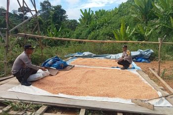 Polsek Mentarang Mendukung Swasembada Pangan