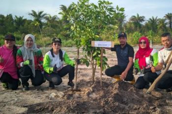 Pemkot Singkawang tanam 8.000 pohon secara serentak untuk mitigasi perubahan iklim