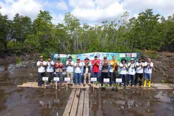 Komunitas Jurnalis Kepri tanam mangrove di Bintan sempena HPN 2026,