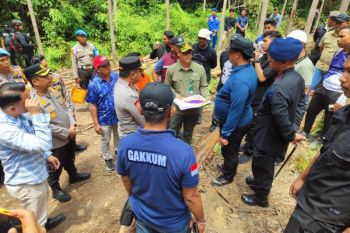 Dirjen Gakkum Kemenhut kejar pemburu terkait kematian gajah di Riau