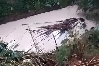 Aliran sungai di Serpong Tangsel diduga tercemar bahan kimia