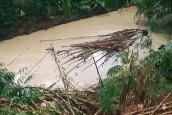 Cemaran aliran kali Tangsel diduga dari gudang pestisida terbakar