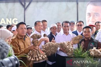 Mentan Andi Amran tetapkan NTB sentra bawang putih untuk swasembada pangan