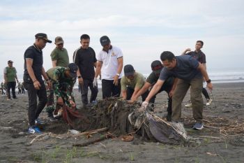 Pemkab Jembrana bentuk satgas kebersihan pantai