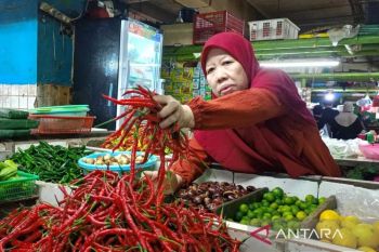 Bapanas: Harga cabai rawit Rp68.836/kg, bawang merah Rp38.246/kg