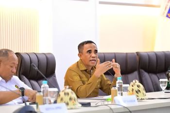 Anwar Hafid akurasi data untuk kebijakan daerah