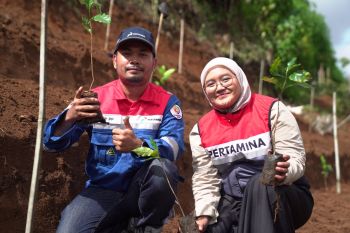 Pertamina Patra RJBB perkuat mitigasi bencana lewat penanaman pohon Saninten