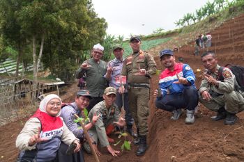 Pertamina Patra Niaga RJBB perkuat mitigasi bencana lewat penanaman 1.300 pohon saninten