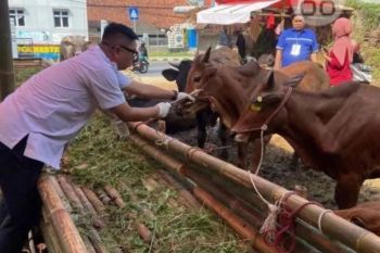 Disnakeswan Kabupaten Lebak siaga antisipasi PMK jelang Ramadhan 1447 H