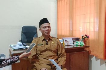 Diplomasi Indonesia di KTT G20 Afrika Selatan