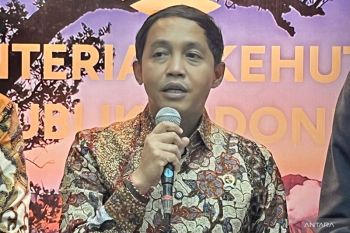 Menhut kecam pembunuhan gajah sumatera di Riau, tegas tak beri ampun pemburu liar