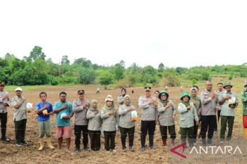 Polresta Ambon tanam 11,71 hektare jagung