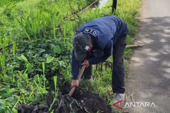 DLH Cianjur tanam 500 bibit pohon mahoni di sejumlah titik jalur utama