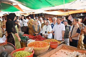 No foreigners granted land ownership in islands: govt