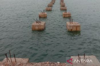 15 East Java districts, cities free of FMD