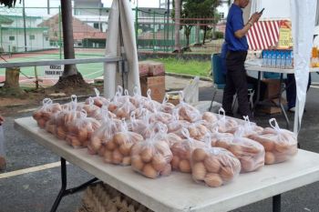 Pemprov Lampung: Ketersediaan telur ayam memadai jelang Ramadhan