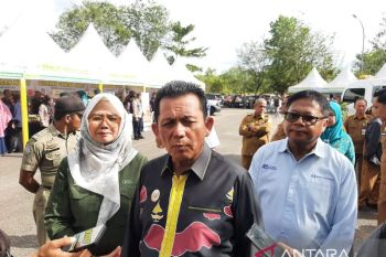 Gubernur Kepri kecam pelaku pembuang minyak hitam perlu ditindak tegas