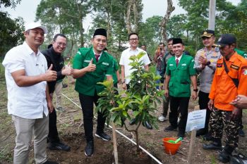 PLN bersama GP Ansor dan Pemkab Boyolali hijaukan lereng Merapi