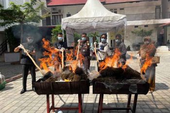 Kejari Bireuen musnahkan berbagai jenis barang bukti tindak pidana