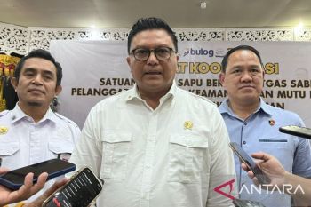 Satgas Sapu Bersih tegaskan praktik curang pangan masa Ramadan disanksi pidana