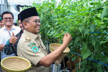 Gubernur Banten dorong konsep agro ekosistem di pesantren