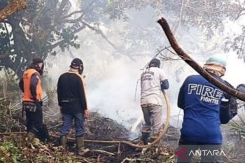 435 hektare lahan mineral di Kalbar terbakar