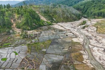 Aceh revises 2026 rice target after flood damage