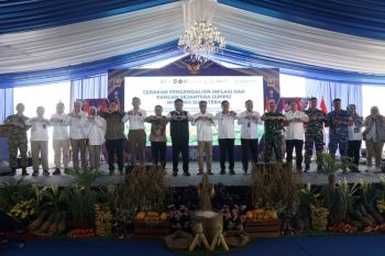 BI dorong GPIPS sebagai strategi baru jaga ketahanan pangan dan inflasi