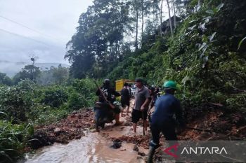 Ruas jalan Desa Pulau Beringin OKU Selatan tertutup tanah longsor, arus lalu lintas lumpuh total
