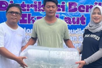 DKI bakal berikan 200 ribu benih ikan kepada warga di Kepulauan Seribu