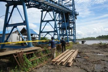 KLH segel dua swasta diduga cemari lingkungan penyebab pesut berkurang