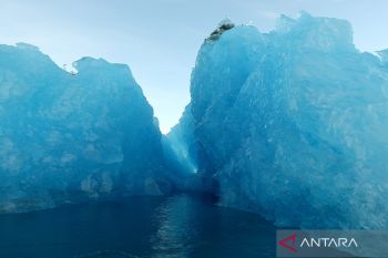 Rubio: Pembicaraan terkait Greenland berjalan positif