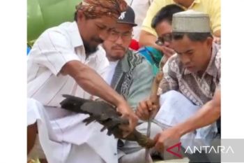 Pandji Pragiwaksono tuntas jalani sanksi adat di Toraja