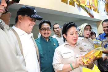 Wadirut Bulog dampingi Ketua Komisi IV sidak ke Pasar Legi Solo