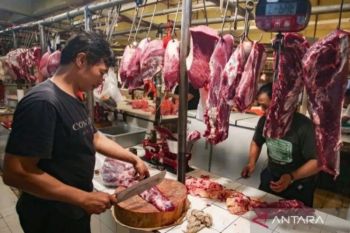 Harga daging sapi diprediksi naik hingga 15 persen jelang Ramadhan