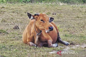 Danrem cek kesiapan penguatan sistem pertahanan di wilayah Lingga