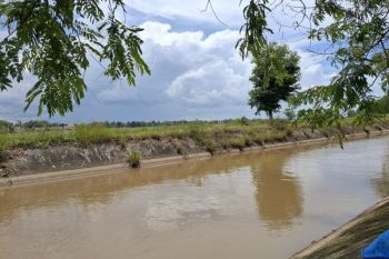 Gubernur Lampung ingatkan pentingnya revitalisasi sungai untuk mitigasi bencana
