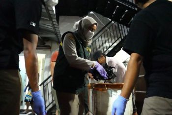 Karantina Malut gagalkan penyelundupan ratusan kilogram daging satwa liar di Ternate