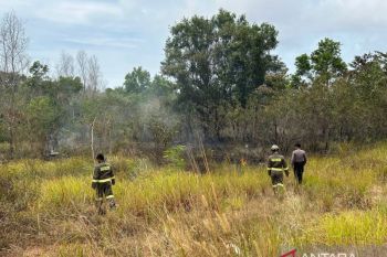 Industri pelayaran minta pemerintah formulasikan stimulus  dunia usaha