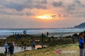 Nyale, olahraga, dan masa depan Mandalika